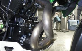 KAWASAKI VERSYS 250 A LE250D