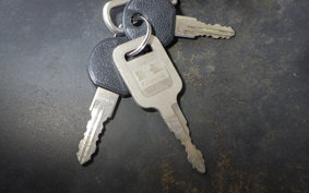 KAWASAKI ELIMINATOR250SE TRIKE EL250A