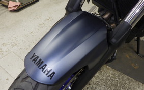 YAMAHA MT-07 2024 RM33J
