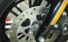 HARLEY XL1200XS 2019