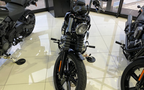 HARLEY  HARLEY FXBB 2025 YJ9