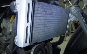 HONDA HORNET 250 MC31