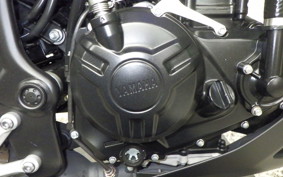 YAMAHA MT-25 A RG43J