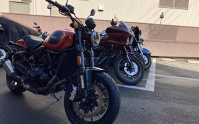 HARLEY X500 2025 W5B