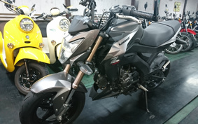 KAWASAKI Z125 PRO BR125H