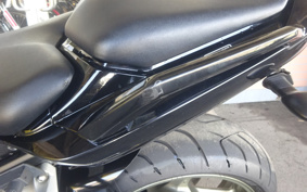 YAMAHA FZ1 FAZER 2009 RN17