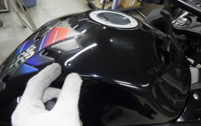 SUZUKI GSX250R 2025