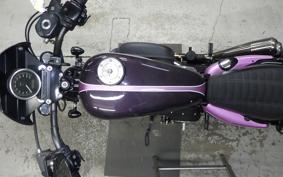 OTHER +HD. XL1200X 2010