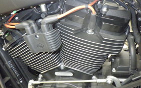 HARLEY FXDRS1870 2019