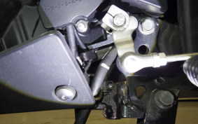 YAMAHA YZF-R25 2019 RG10J