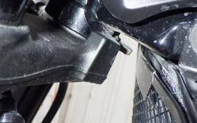 KAWASAKI Z900RS 2024 ZR900K