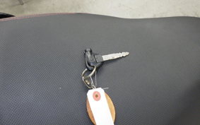 YAMAHA CYGNUS 125 XSR 2 SE44J