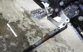 YAMAHA WR250X DG15J