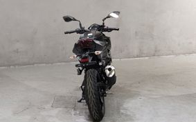 KAWASAKI Z250 EX250P