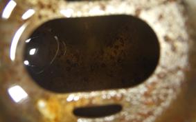 KAWASAKI NINJA 250R EX250K