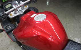 YAMAHA FZ-1 FEATHER 2009 RN21J