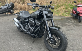 HARLEY  HARLEY FXFBS 2024 YLK
