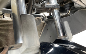 KAWASAKI NINJA 250 ABS SE EX250L