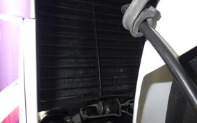 HONDA CBR250RR 1996 MC22