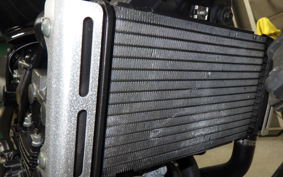 HONDA HORNET 250 2025 MC31