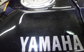 YAMAHA XSR900 2023 RN80J