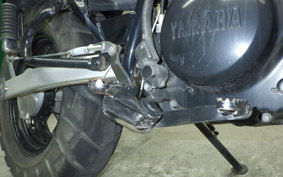 YAMAHA TW225 2013 DG09J