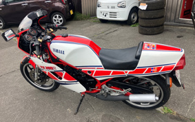 YAMAHA RZ250RR 29L