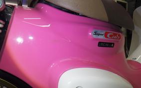 HONDA C50 SUPER CUB 2009 AA09