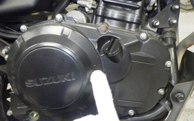 SUZUKI Vｽﾄﾛｰﾑ250 2010