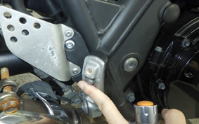 KAWASAKI ZRX1200 D 2009 ZRT20D