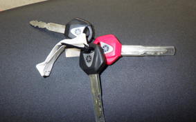 YAMAHA XSR900 2024 RN80J