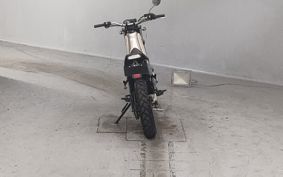 YAMAHA TORITSU CAR DG10J