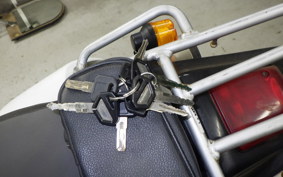 KAWASAKI KLX250 2024 LX250E