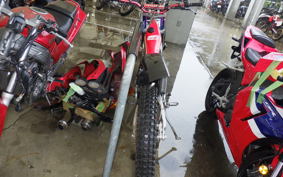 HONDA RTL250R RTL250RF