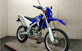 YAMAHA WR250R DG15J