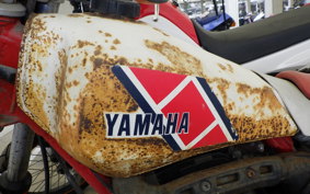 YAMAHA TY250 1985 53Y