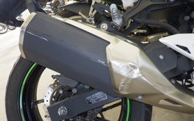 KAWASAKI NINJA 250 EX250P