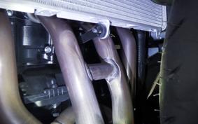 KAWASAKI NINJA 1100SX 2025 ZXT10H