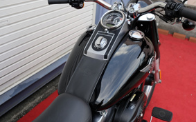 HARLEY FLSTFB 2011 JN5
