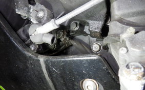 KAWASAKI NINJA 250R 2023 EX250K