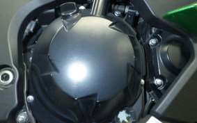 KAWASAKI NINJA 1000SX 2020 ZXT02K