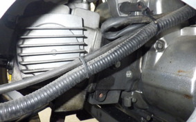 OTHER UNREGISTERED MODEL by BDS125 TRIKE 2008