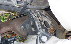 HONDA MONKEY Z50J