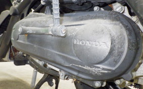 HONDA ZOOMER AF58