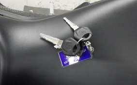 YAMAHA YZF-R3 2021 RH13J