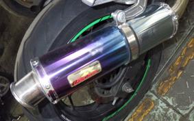 KAWASAKI NINJA 250 EX250L