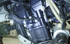 KAWASAKI KLX250D TRACKER X 2021 LX250V