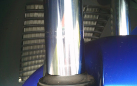 SUZUKI  SKY WAVE 250TYPES CJ43A
