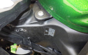 KAWASAKI NINJA 1000 SX 2020 ZXT02K