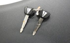 KAWASAKI NINJA ZX-6R A 2019 ZX636G